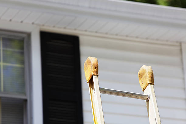 Best Steel Siding Installation  in Proctor, VT