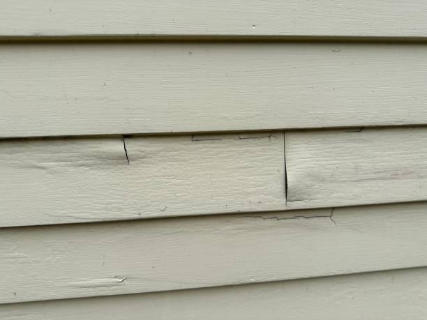 Best Siding Removal and Disposal  in Proctor, VT